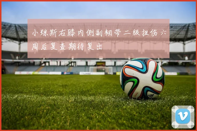 小琼斯右膝内侧副韧带二级扭伤六周后复查期待复出